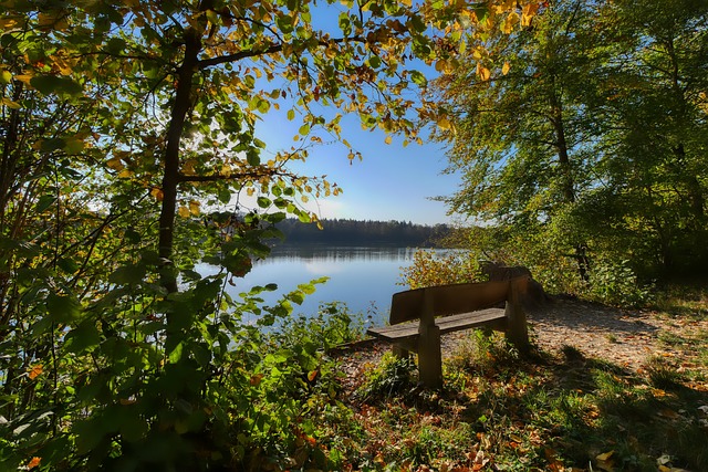 雷迪克要求詹姆斯放弃球权，东契奇打无球闹情绪，湖人双核不兼容.