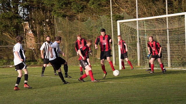 西男篮的防 西男篮的防