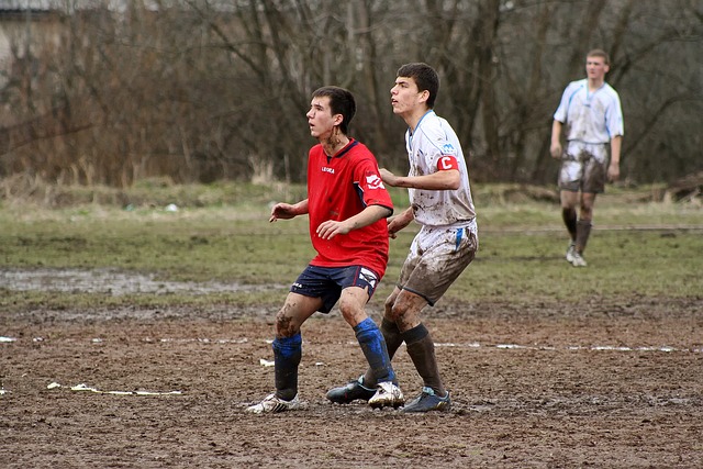 小西蒙斯的 小西蒙斯的