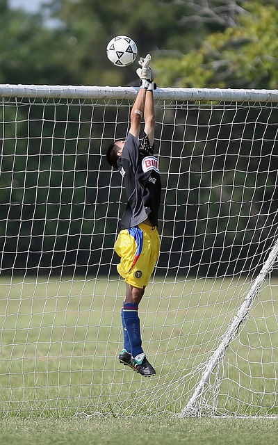 迅速将理论 迅速将理论