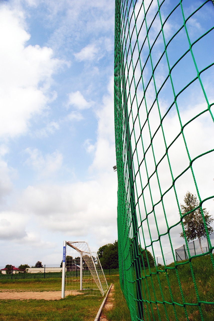 去了悬念 去了悬念