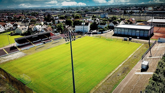 青岛海牛此 青岛海牛此