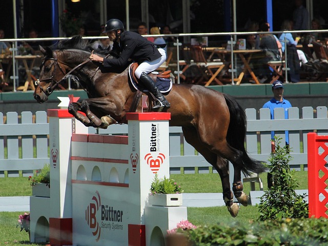 这种裁判风 这种裁判风