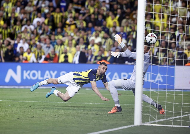 今夏离开拜 今夏离开拜